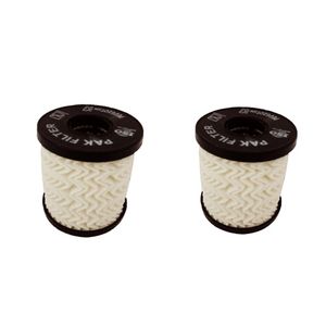 فیلتر روغن پاک مدل 919  مناسب برای پژو 206 بسته 2 عددی